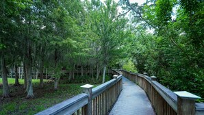 A wooden boardwalk through a wooded area with trees and a fence.