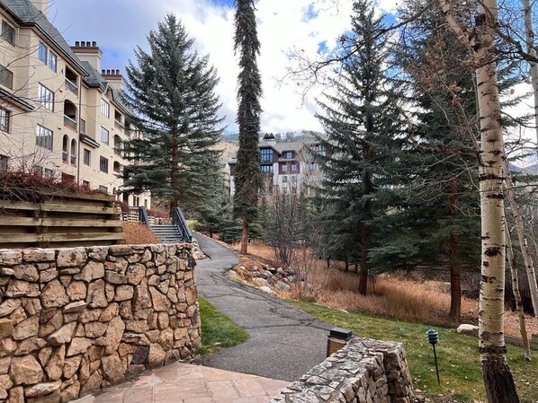 Property grounds - Charter@ Beaver Creek, Pool, hot tub, steps from Village & superb ski access (Beaver Creek)