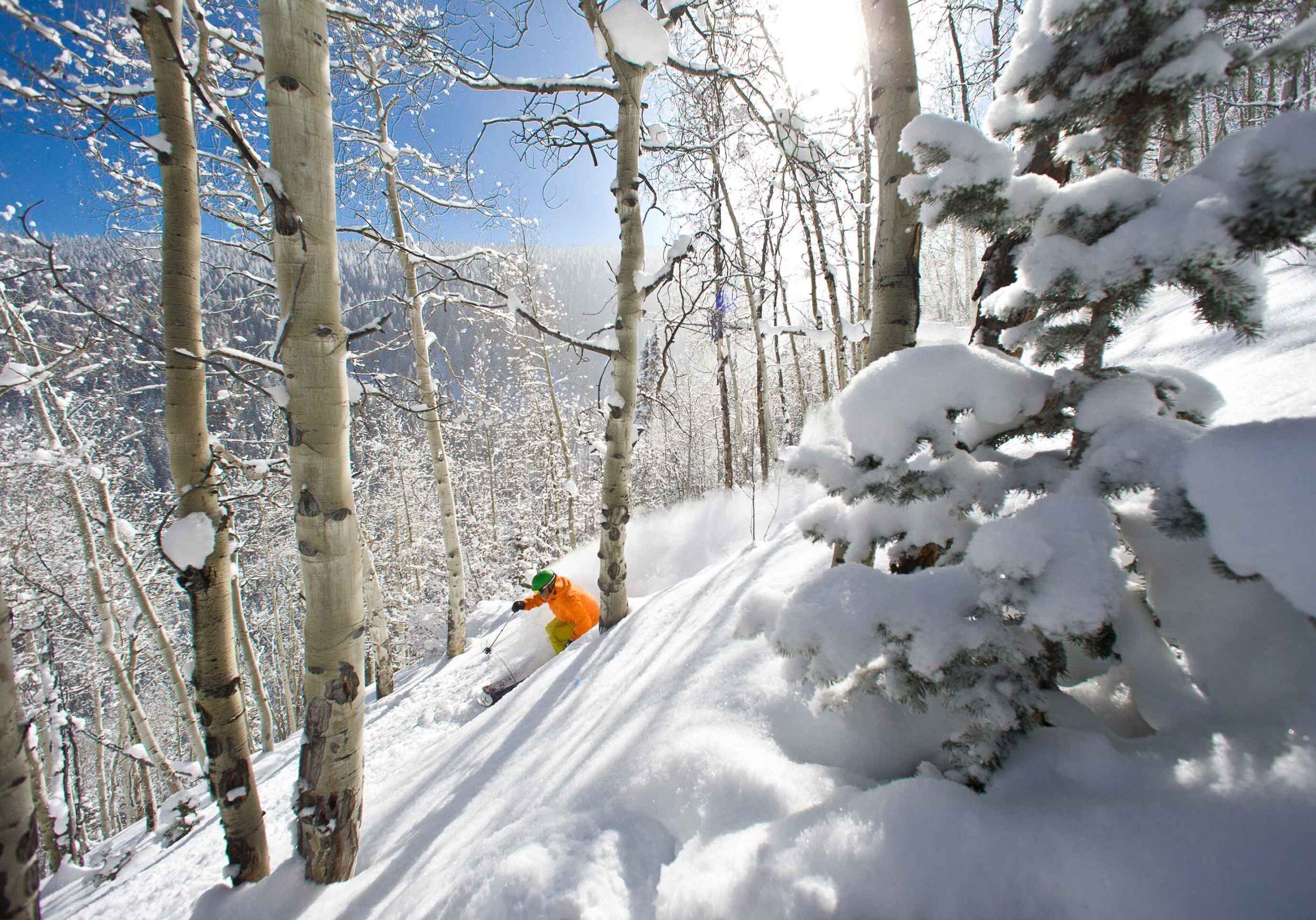 A snowy forest with a skier.