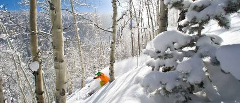 A snowy forest with a skier.
