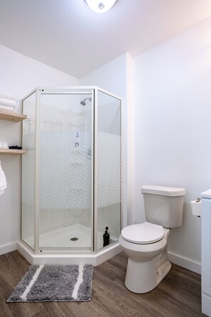 Chuveiro, secador de cabelo, toalhas de banho, sabonete