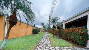 A pathway leading to a building with a stone-tiled entrance, surrounded by greenery and a palm tree.