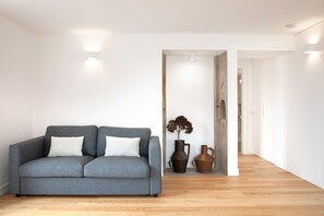 TV connectée, cheminée, livres, chaîne hi-fi