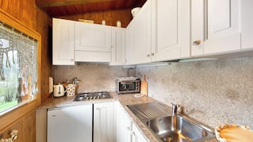 Fridge, oven, stovetop, electric kettle