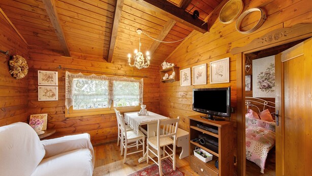 A wooden cabin interior with a dining table, chairs, a TV, and a bed with floral bedding.