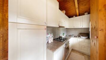 Fridge, oven, stovetop, electric kettle