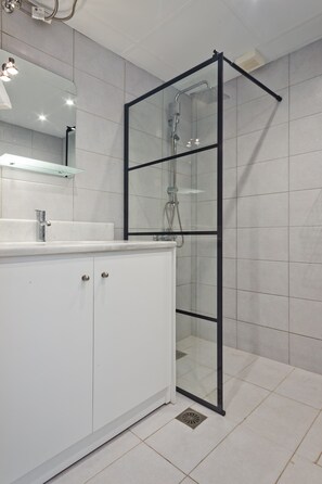 Shower, hair dryer, towels