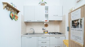 Een keuken met witte kastjes, een gootsteen, een gasfornuis en een hangende plant.