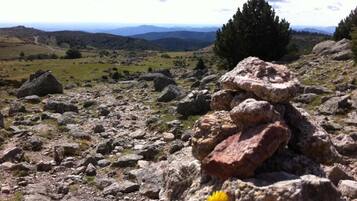 Paisaje rocoso con grandes rocas, una pequeña flor amarilla y montañas distantes bajo un cielo parcialmente nublado.