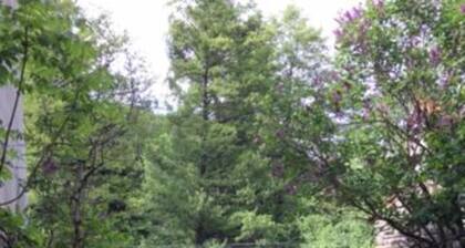 Gßte De La Chatiere avec vue sur les montagnes, terrasse privée et Wi-Fi