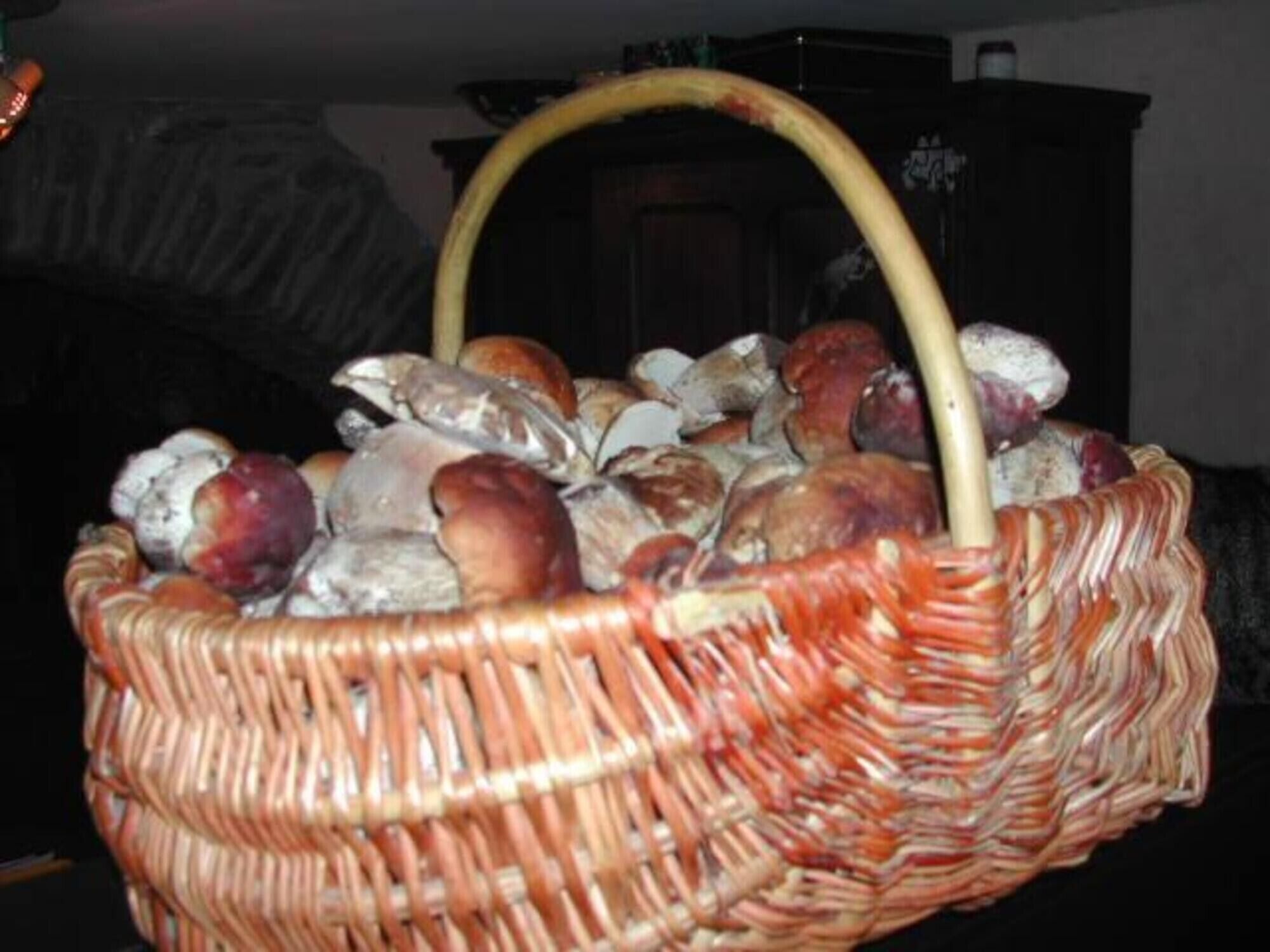 Uma cesta de vime cheia de frutas e legumes variados.