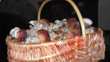 A wicker basket filled with various fruits and vegetables.