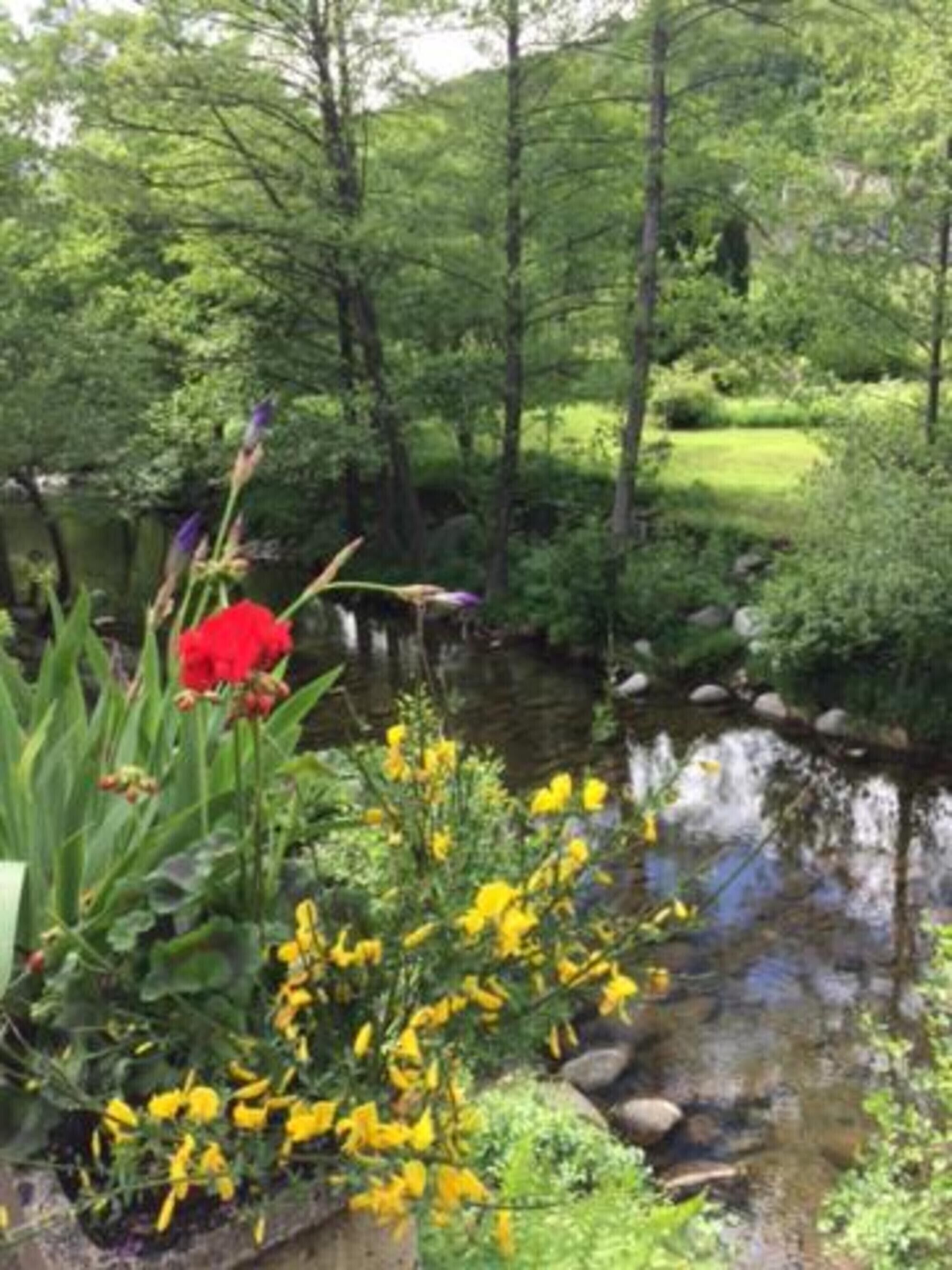 Un jardí tranquil amb un petit rierol, vegetació exuberant i una gran varietat de flors.