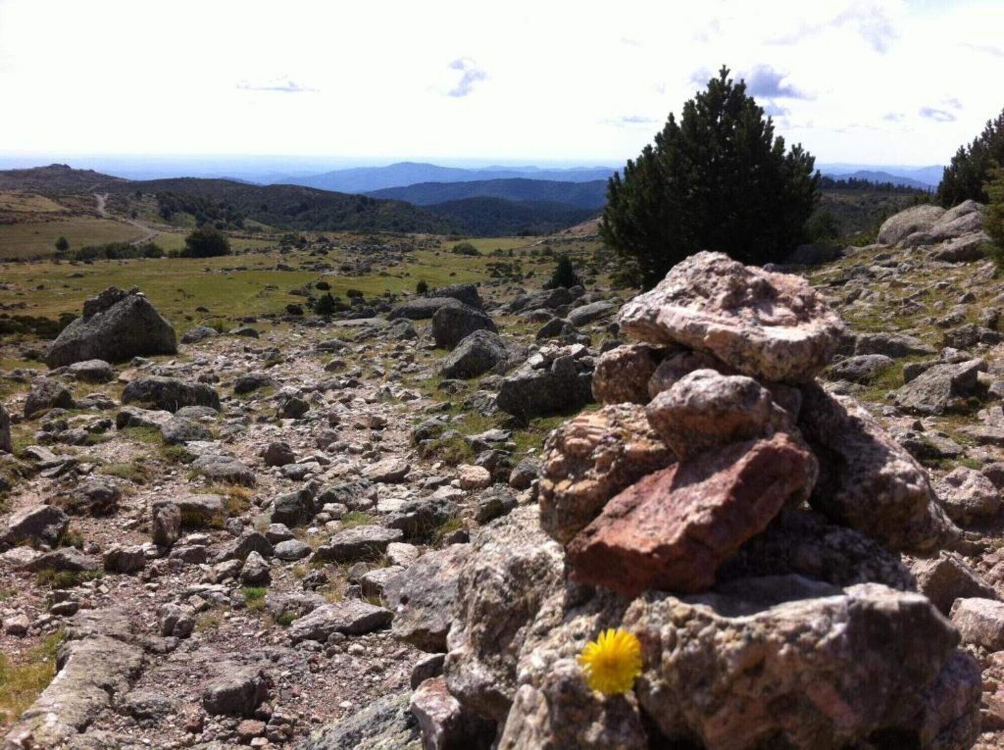 Un paysage rocheux parsemé de gros blocs de pierre, une petite fleur jaune et, au loin, des montagnes sous un ciel partiellement nuageux.