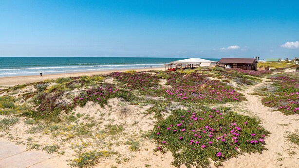 Una spiaggia con un sentiero che conduce a un edificio con tetto rosso.