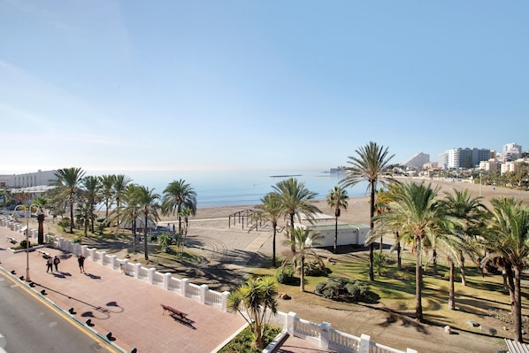 A coastal promenade with palm trees, a beach, and buildings in the background.