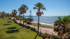 Un paseo marítimo con palmeras, un sendero y vista al mar.