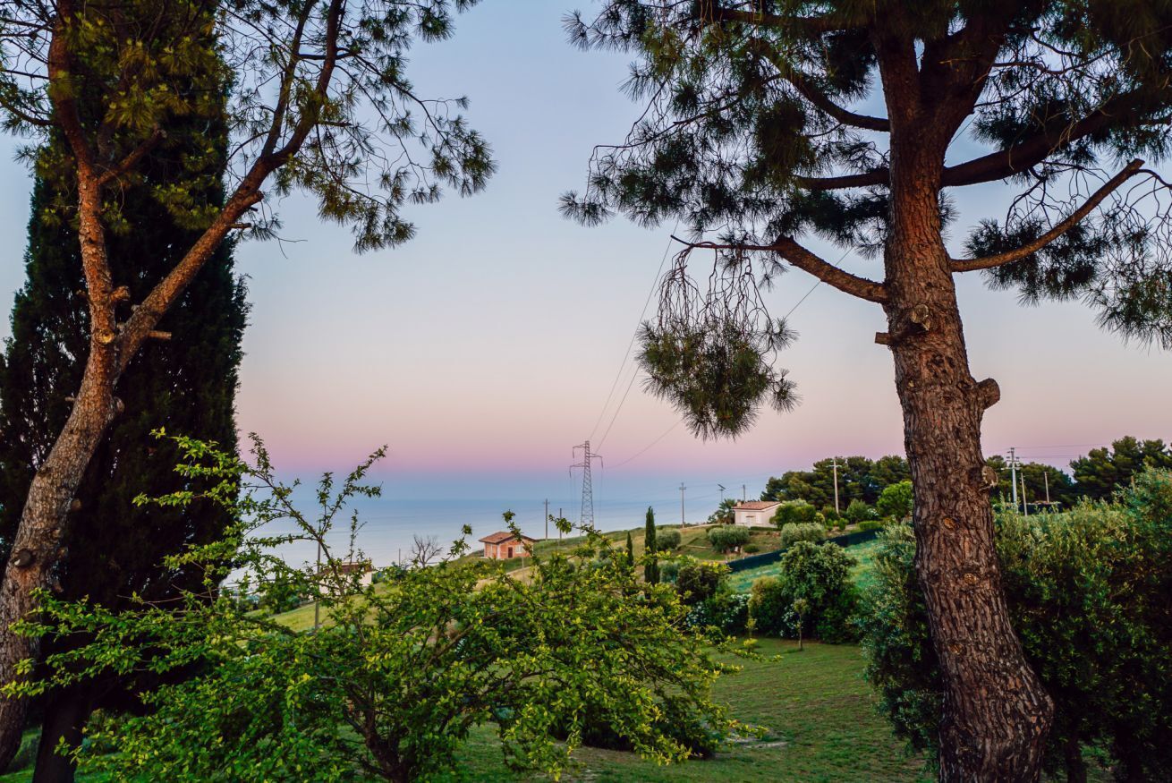 Un paysage composé d’arbres, d’une zone herbeuse et d’une étendue d’eau visible au loin.