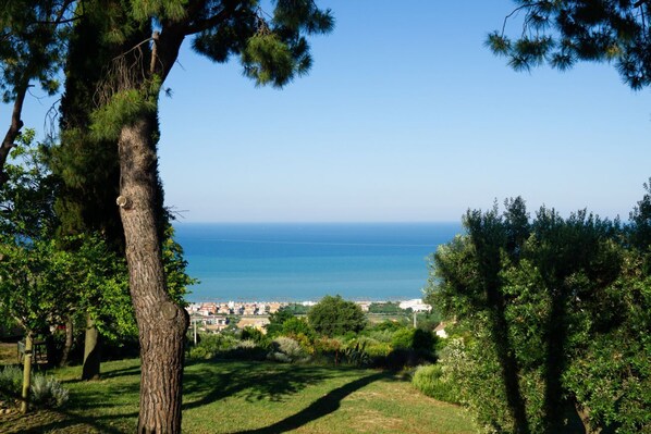 A coastal landscape with a tree in the foreground, a clear sky, and a distant view of a town by the sea.