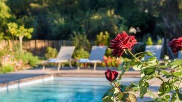 Een verwarmd zwembad