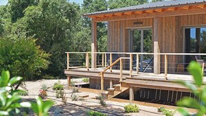 Una cabaña de madera con balcón, rodeada de un jardín con diversas plantas y flores.