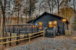 Exterior - Treetop Getaway - Pet Friendly | Hot Tub | Screened Porch (Blue Ridge)