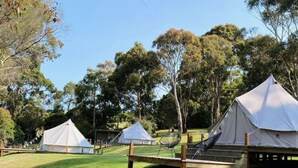 A campsite with several tents set up on a grassy area, surrounded by trees.