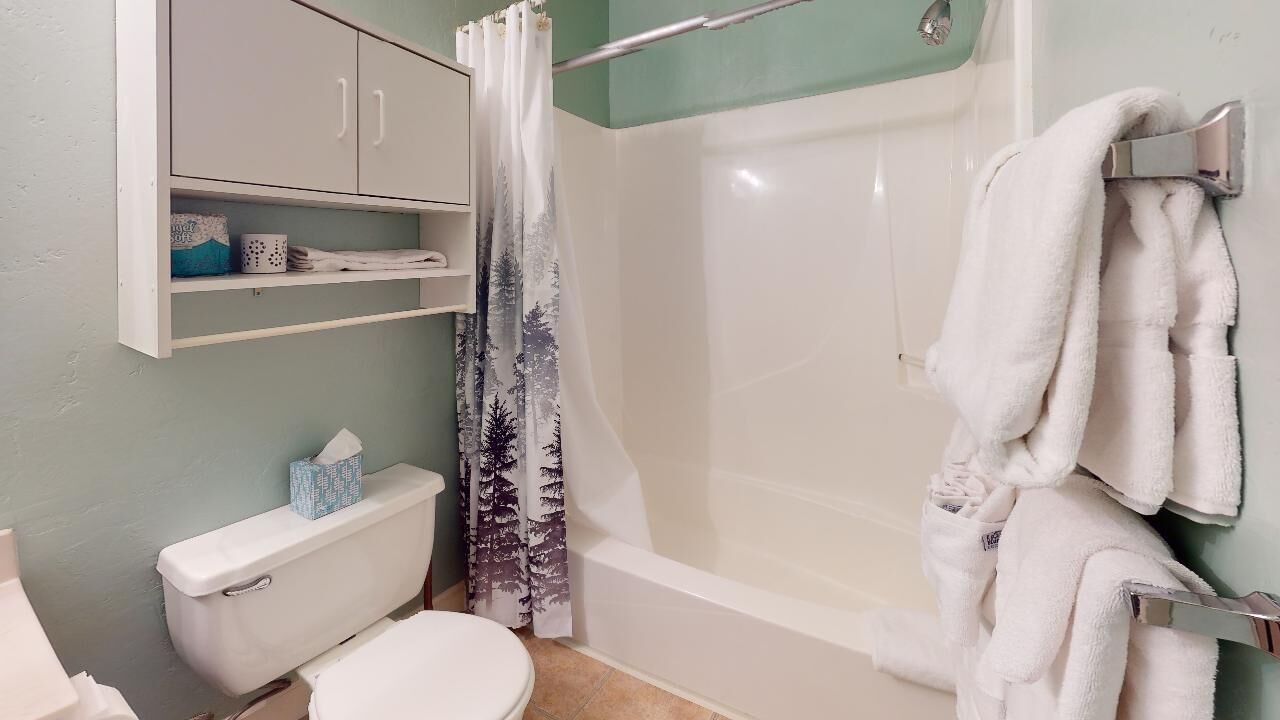 A bathroom with a toilet, a shower with a curtain, a bathtub, and a towel rack.