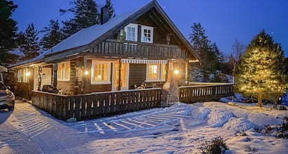 3 bedroom gorgeous home in Treungen