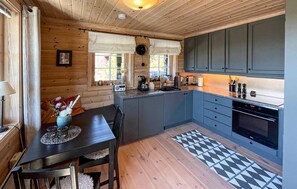 Fridge, microwave, dishwasher, coffee/tea maker - 3 bedroom gorgeous home in Treungen (Treungen)