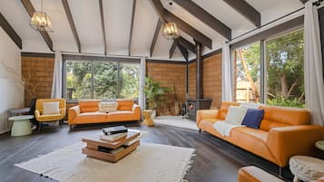 TV, fireplace, video games, DVD player