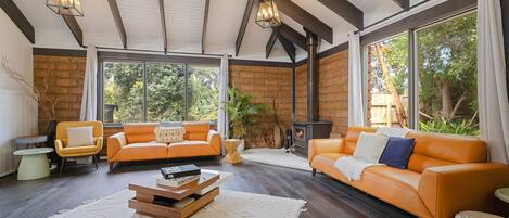 تلفزيون، مدفأة، ألعاب فيديو، مشغل دي في دي