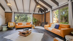 TV, fireplace, video games, DVD player