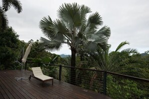 Property grounds - Luxury rainforest eyrie with panoramic views (Mossman Gorge)