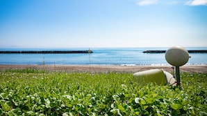 A beach with green vegetation and a buoy in the foreground. - THE BLAUBAUM TOYA (Toyako)