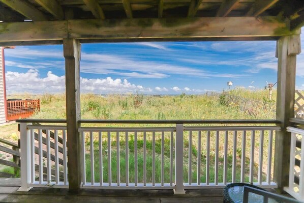 テラス / パティオ