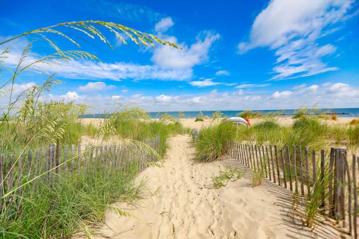 On the beach