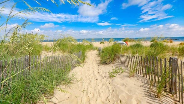 Ein Sandweg am Strand, beidseitig mit Gras gesäumt und von einem Holzzaun begrenzt.