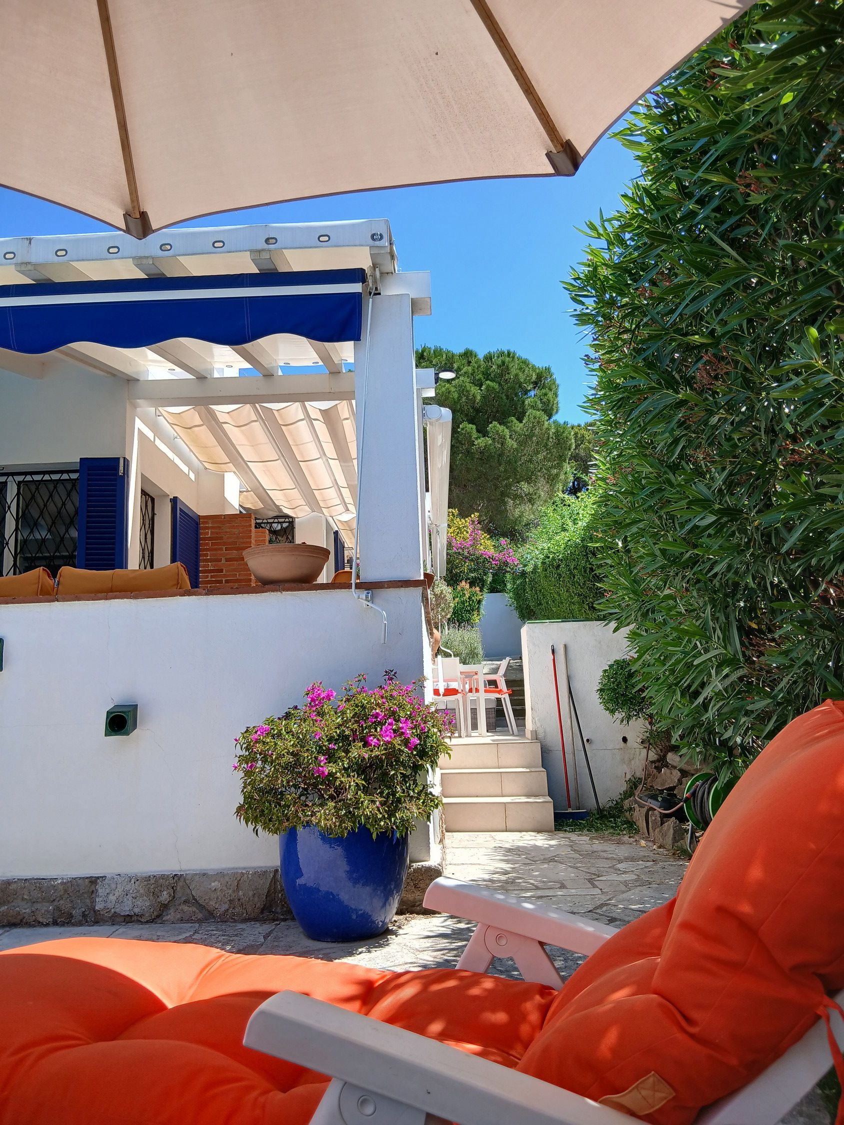 Un espace extérieur aménagé avec des coussins orange, une plante en pot bleue et un mur blanc.