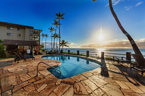 A pool area with a view of the ocean, palm trees, and a building with multiple windows. - Whale Watching from your lanai, unbeatable views (Lahaina)