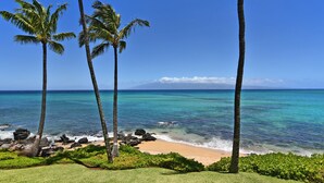 On the beach - Whale Watching from your lanai, unbeatable views (Lahaina)