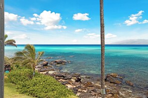 A coastal landscape with clear turquoise waters, rocky shoreline, and a palm tree. - Whale Watching from your lanai, unbeatable views (Lahaina)