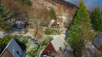Eksteriør