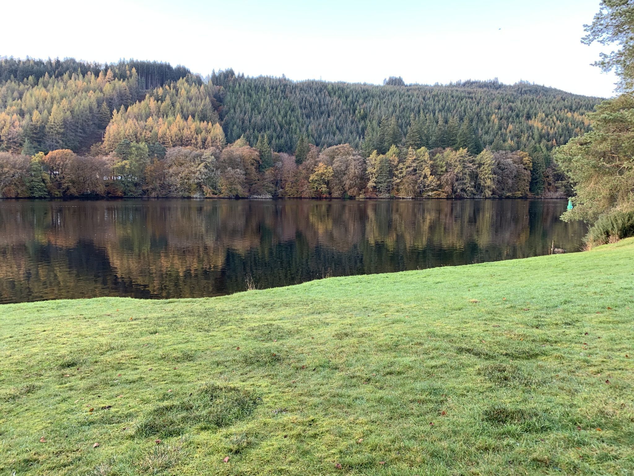 A serene lake with a grassy foreground and a forested hill in the background.