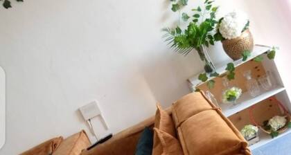 Cozy 1 Bedroom with good lighting and Wi-Fi
