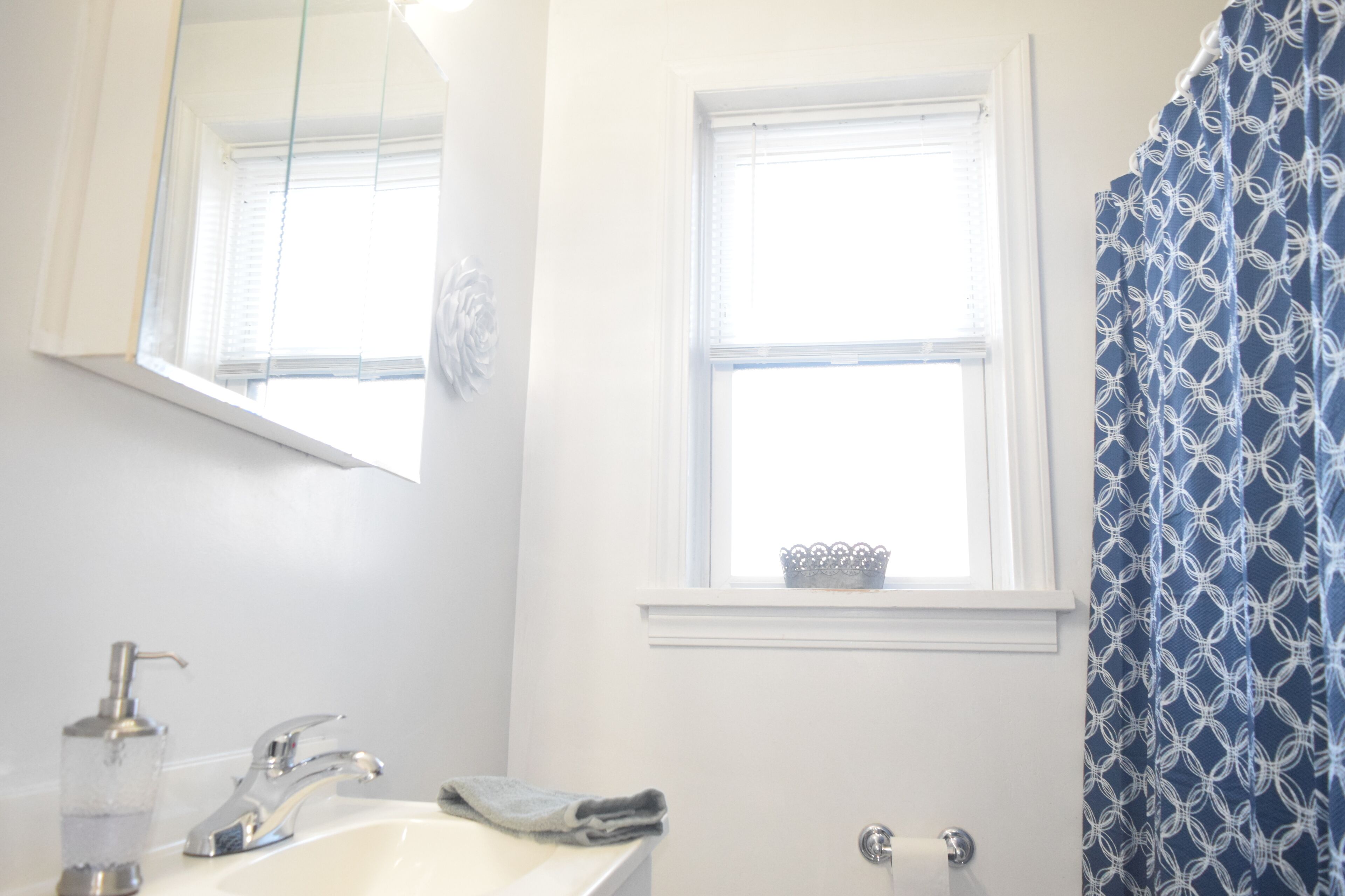 Shower, hair dryer