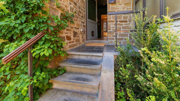 Una escalera de piedra que conduce a una puerta con panel de vidrio, rodeada de follaje.