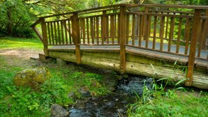 A wooden bridge over a stream in a forested area.
