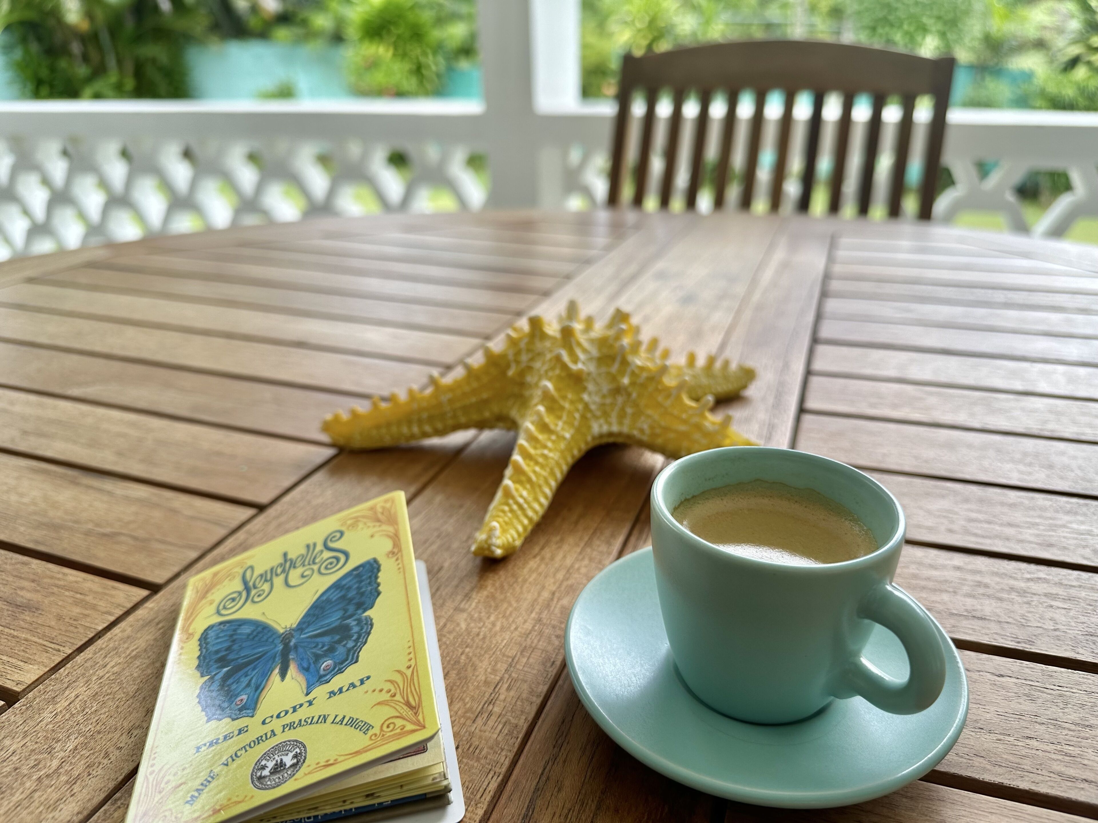 A wooden table with a starfish, a cup of coffee, and a book titled "Sophie".