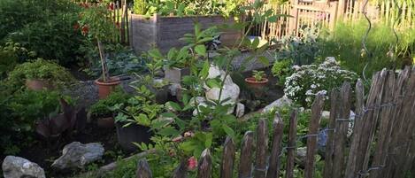 المنطقة المحيطة بالمنشأة